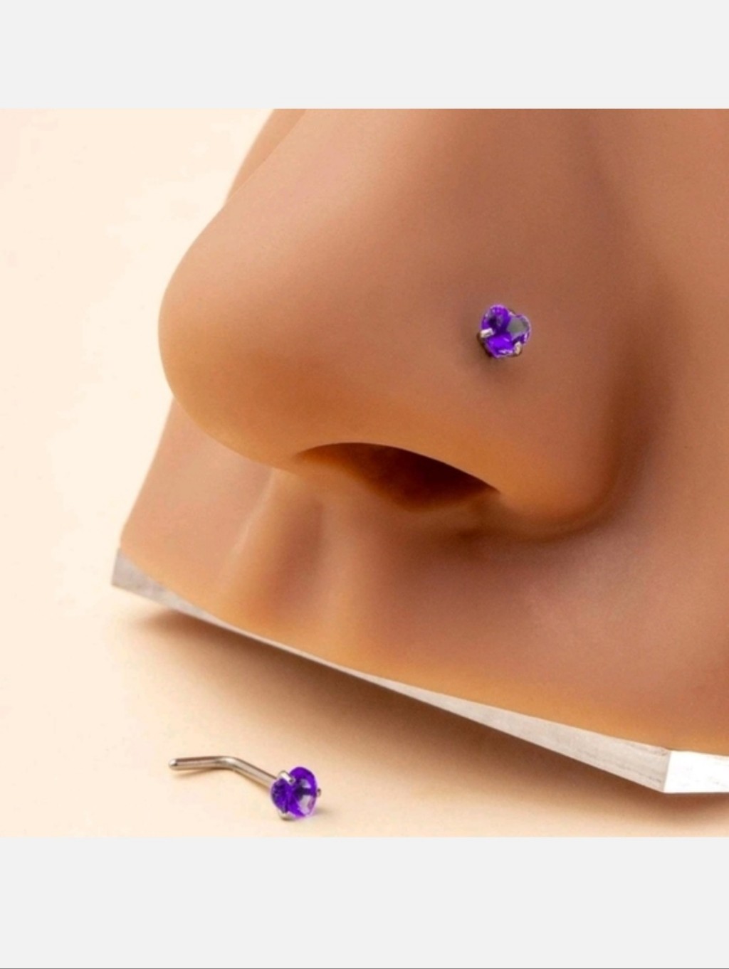 2 Nose Rings